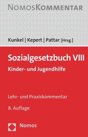 Sozialgesetzbuch VIII - Cover