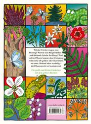 Kaktus, Klee und Kopfsalat - Abbildung 1