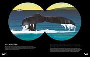 Das geheime Leben der Wale - Abbildung 3