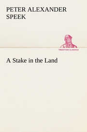 A Stake in the Land - Cover