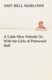 A Little Miss Nobody Or, With the Girls of Pinewood Hall