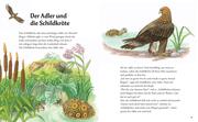 Die schönsten Tierfabeln für Kinder - Illustrationen 4