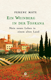 Ein Weinberg in der Toskana