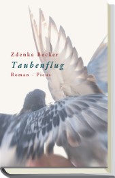Taubenflug - Cover