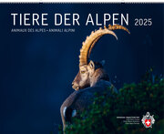 Tiere der Alpen 2025
