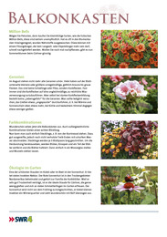 Heike Boomgaardens Gartenjahr 2012 - Abbildung 19