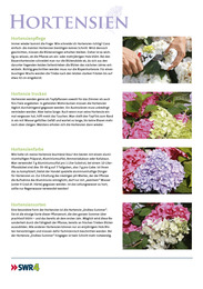 Heike Boomgaardens Gartenjahr 2012 - Abbildung 21