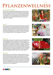 Heike Boomgaardens Gartenjahr 2012 - Abbildung 23
