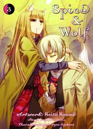 Spice & Wolf 03 - Cover