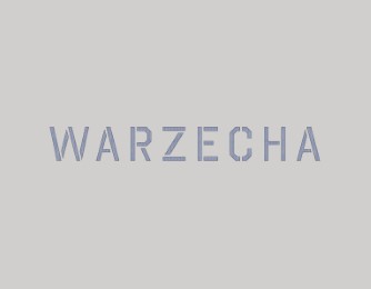 Anja Warzecha - Transitions - Cover