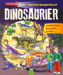Mein Taschenlampenbuch: Dinosaurier
