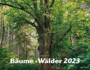 Bäume - Wälder 2023