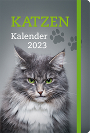 Katzen - Kalender 2023