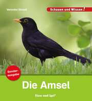 Die Amsel - Cover