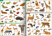 Tiere unserer Erde - Meine Stickerwelt - Abbildung 2