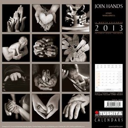 Join Hands 2013 - Abbildung 1