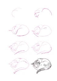Sooooo viele Tiere zeichnen - Abbildung 1