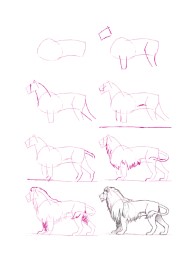 Sooooo viele Tiere zeichnen - Abbildung 2