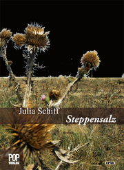 Steppensalz - Cover