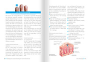 Schüßler-Salze - Gesichts- und Handdiagnostik - Abbildung 6