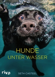 Hunde unter Wasser - Cover