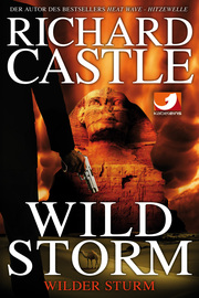Derrick Storm 2: Wild Storm - Wilder Sturm - Cover