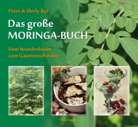 Das grosse Moringa-Buch