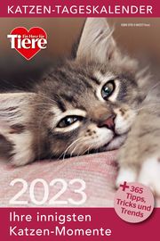 Katzen-Tageskalender 2023 - Cover