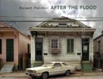 After the Flood - Cover