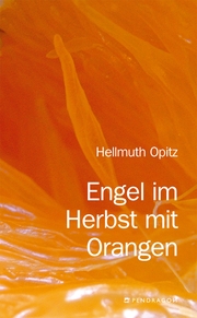 Engel im Herbst mit Orangen - Cover