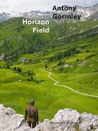 Antony Gormley. Horizon Field.