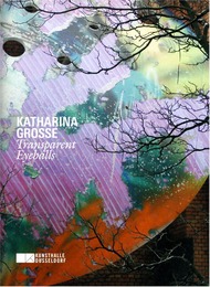 Katharina Grosse. Kunsthalle Düsseldorf - Cover