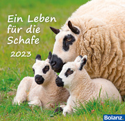 Ein Leben für die Schafe 2023 - Cover