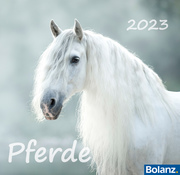 Pferde 2023