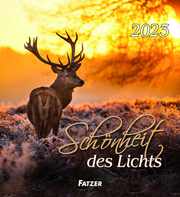 Schönheit des Lichts 2023 - Cover