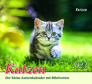Katzen 2023 - Cover