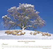 Ein Leben für die Schafe 2024 - Abbildung 1