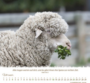 Ein Leben für die Schafe 2024 - Abbildung 2