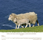 Ein Leben für die Schafe 2024 - Abbildung 3