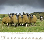 Ein Leben für die Schafe 2024 - Abbildung 4