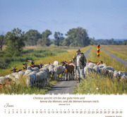 Ein Leben für die Schafe 2024 - Abbildung 6