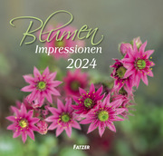 Blumen Impressionen 2024 - Cover