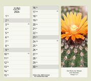Vormerk-Kalender mit Zitaten 2024 - Illustrationen 6