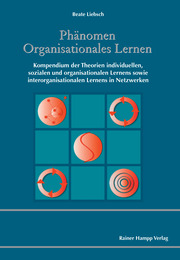 Phänomen Organisationales Lernen - Abbildung 1