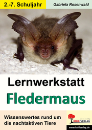 Lernwerkstatt Fledermaus - Cover