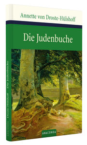 Die Judenbuche - Abbildung 1