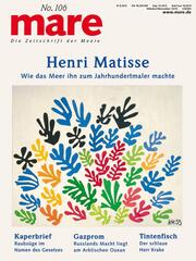 mare 106 - Henri Matisse