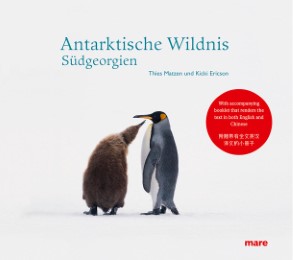 Antarktische Wildnis - Südgeorgien