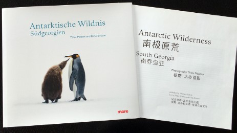 Antarktische Wildnis - Südgeorgien - Abbildung 1