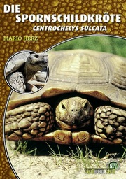 Die Spornschildkröte